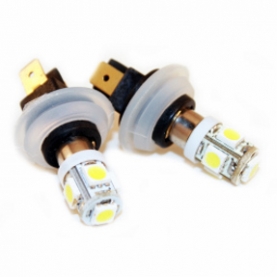 Mini Bulbs